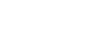 BSG-IT Logo